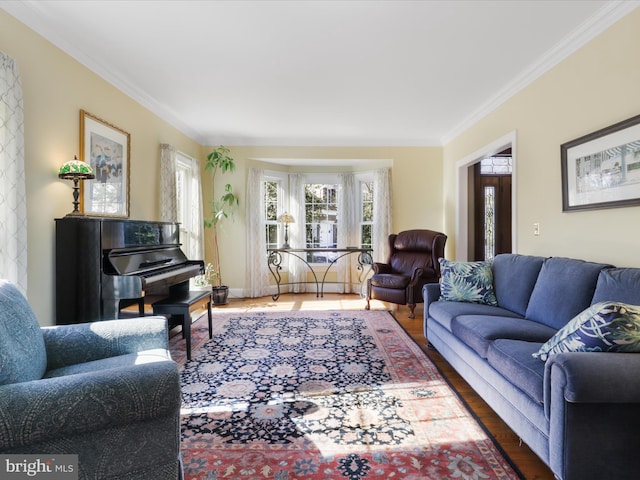 living area featuring crown molding and wood finished floors