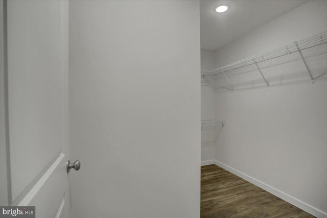 walk in closet featuring dark hardwood / wood-style flooring