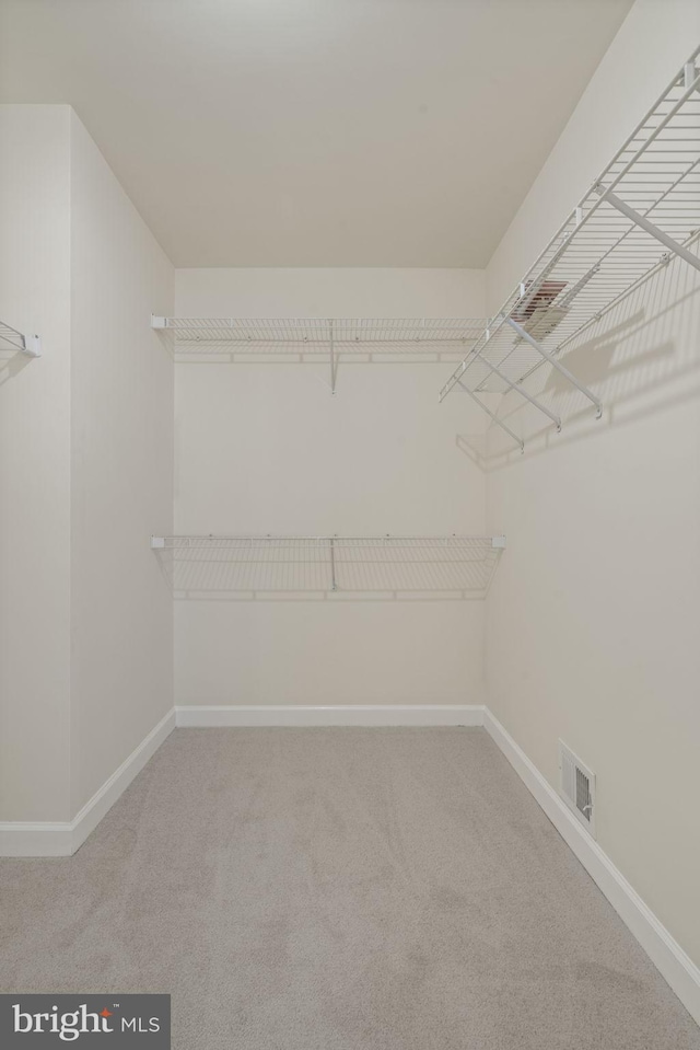 spacious closet featuring carpet flooring