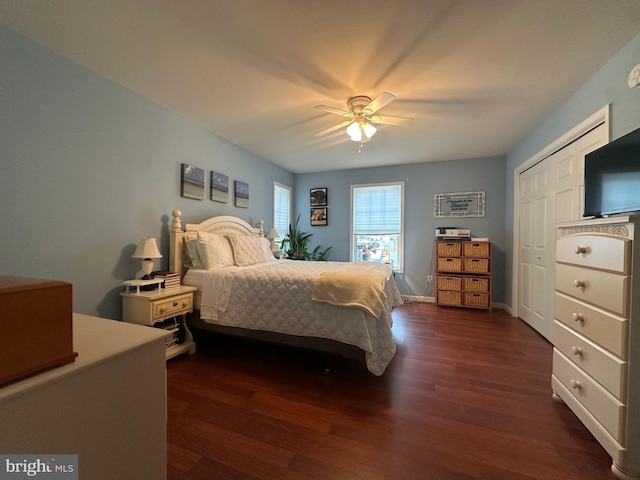 bedroom featuring dark hardwood / wood-style flooring, a closet, and ceiling fan