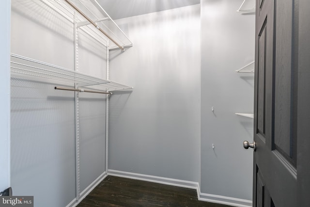 walk in closet featuring dark wood-type flooring