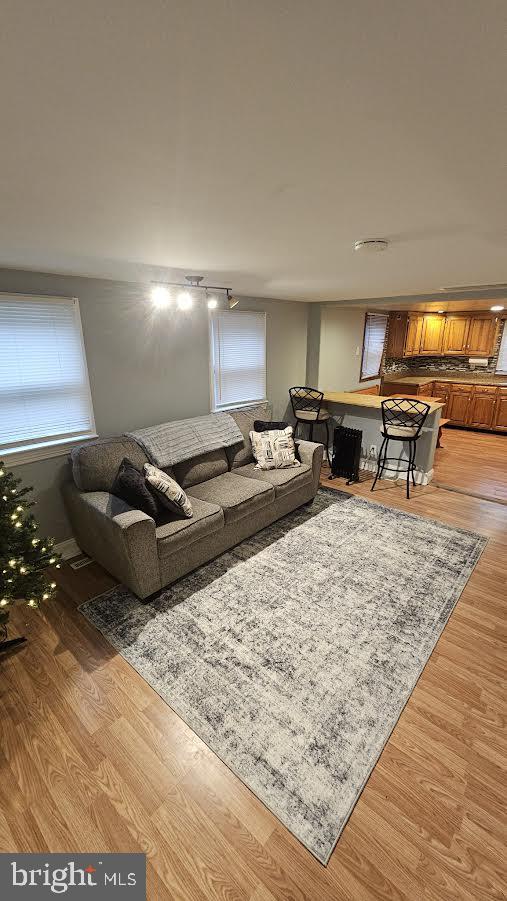 living room with wood-type flooring