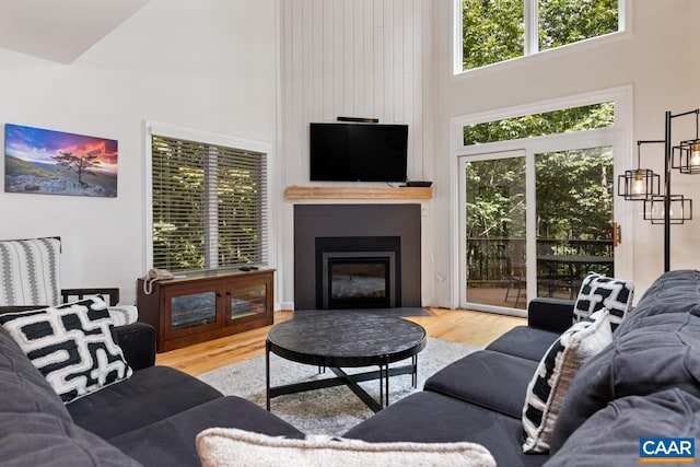 living room with hardwood / wood-style flooring and a towering ceiling