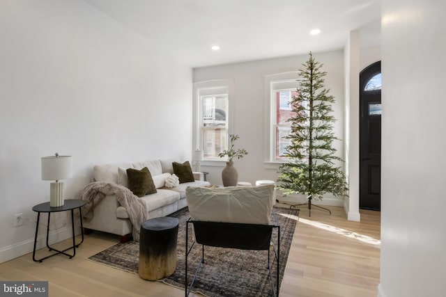 living room featuring light hardwood / wood-style flooring