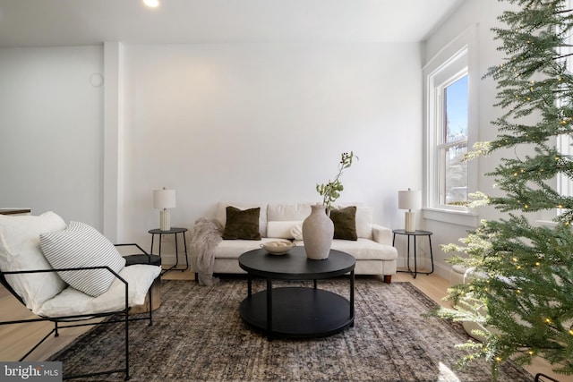 sitting room featuring wood-type flooring