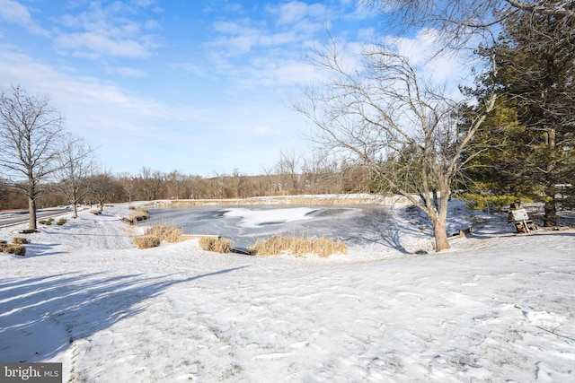 view of yard covered in snow