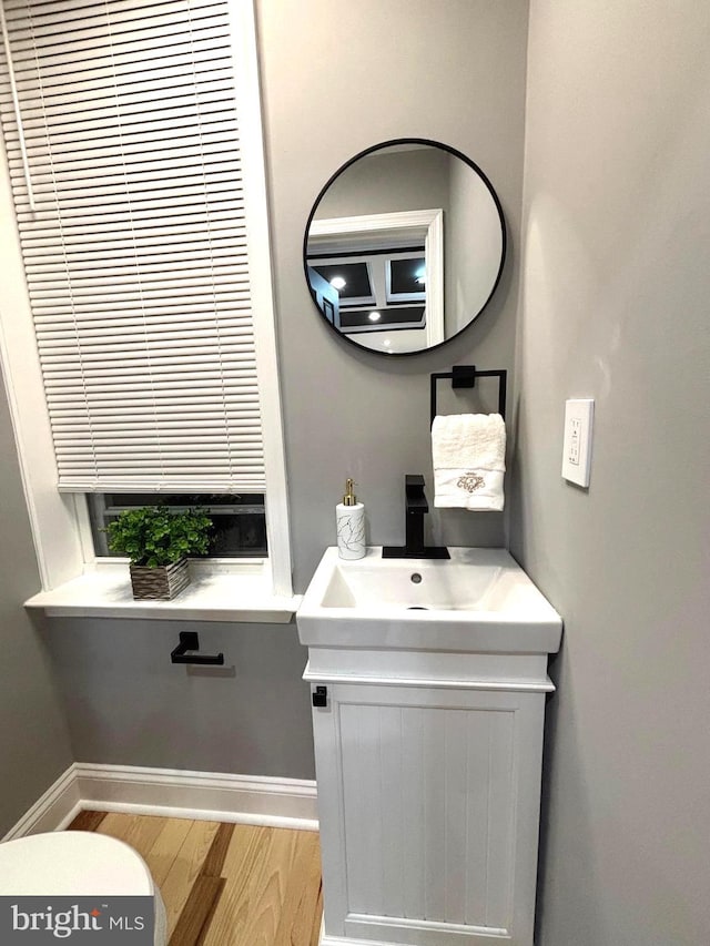 bathroom with hardwood / wood-style floors and vanity