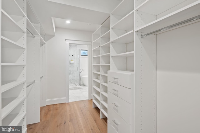 walk in closet featuring wood finished floors