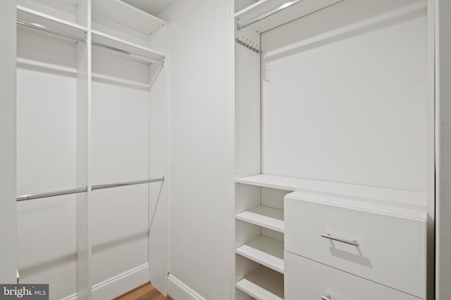 view of walk in closet