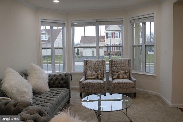 living room featuring carpet flooring and crown molding