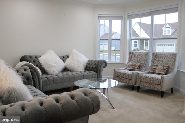 living room featuring light colored carpet and ornamental molding