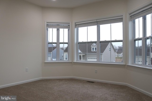 empty room with carpet flooring and a healthy amount of sunlight