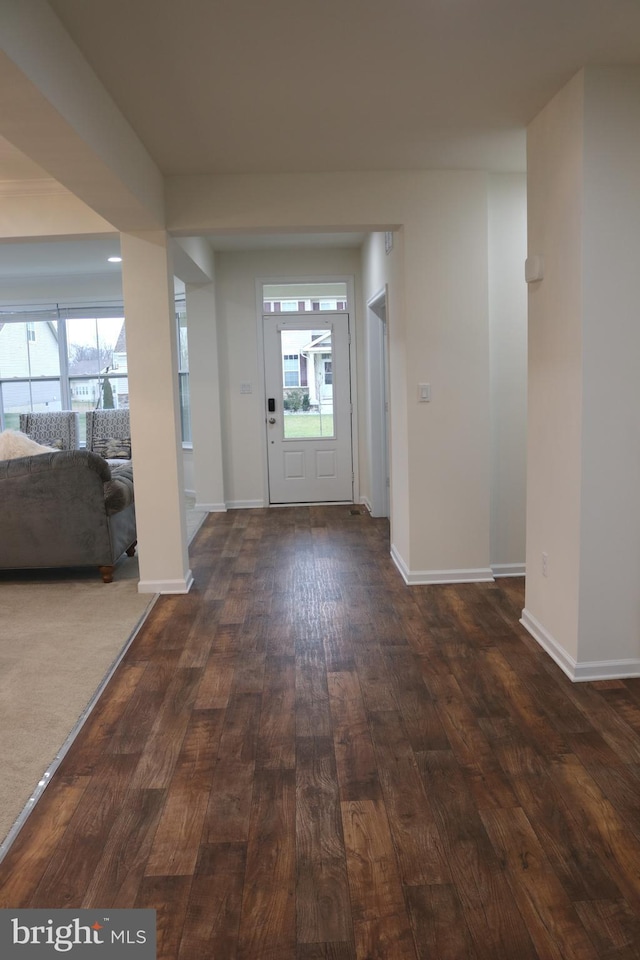 foyer entrance featuring dark wood-type flooring and a healthy amount of sunlight