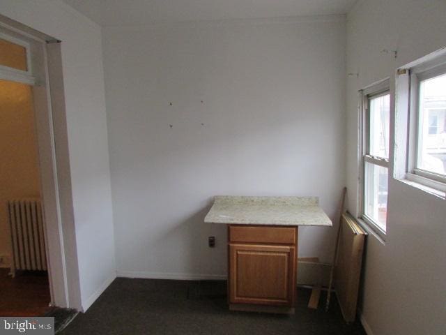 interior space with radiator and a wealth of natural light