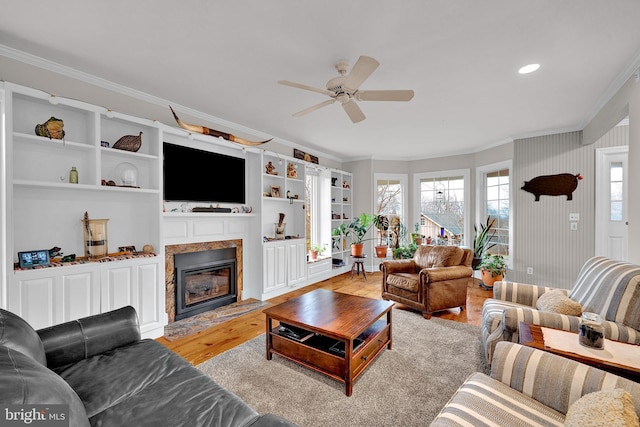 living room with ceiling fan, light wood-type flooring, and ornamental molding