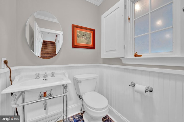 bathroom featuring toilet and ornamental molding