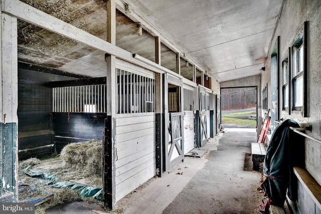 view of horse barn