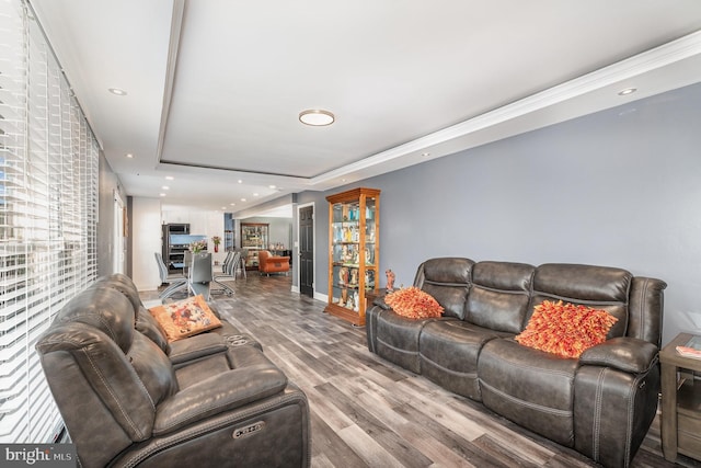 living room with wood-type flooring and a raised ceiling