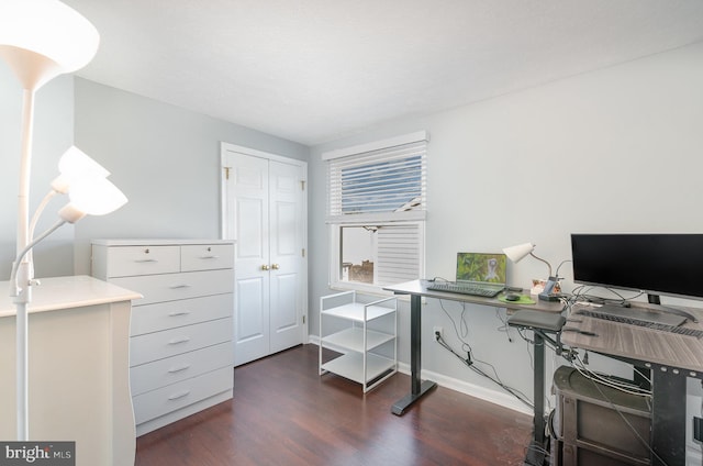 office space featuring dark hardwood / wood-style floors