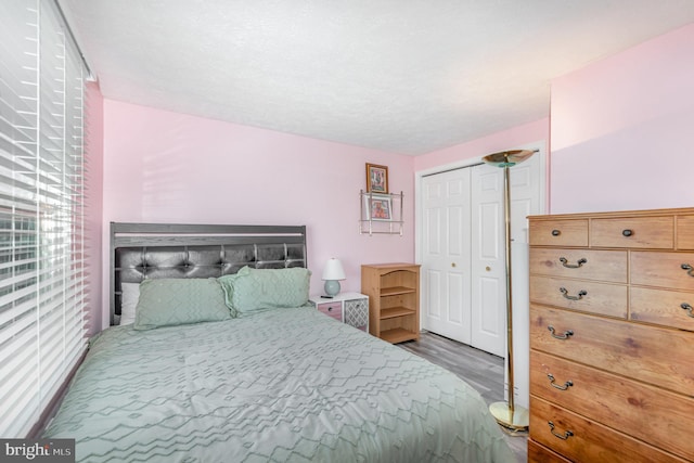 bedroom with wood-type flooring and a closet