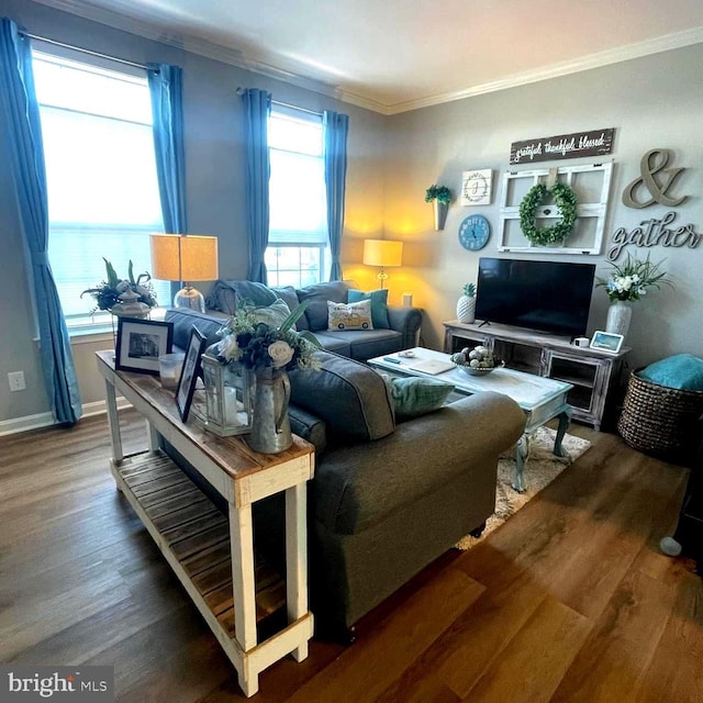 living room with crown molding and wood-type flooring