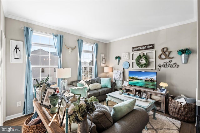 living room with crown molding and hardwood / wood-style flooring