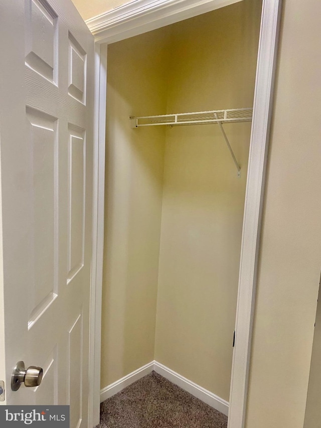 view of closet