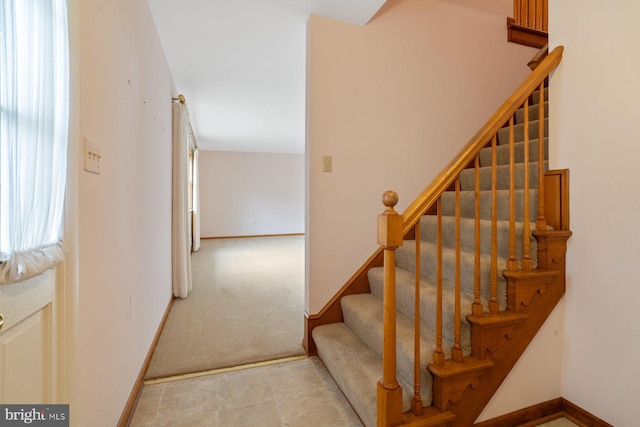 staircase with carpet