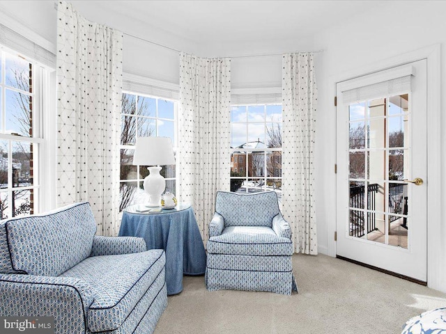 sitting room with light carpet