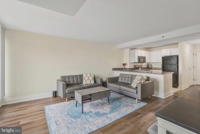 living room featuring dark hardwood / wood-style flooring and sink