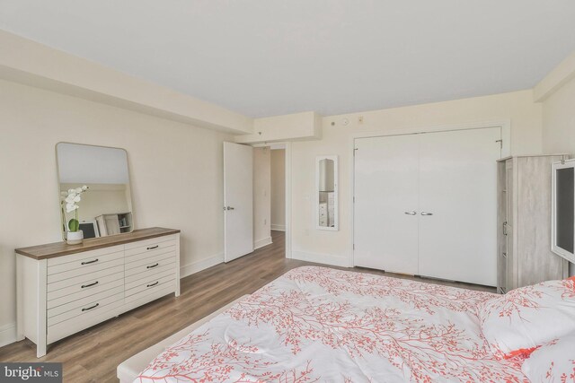 bedroom with dark hardwood / wood-style flooring and a closet