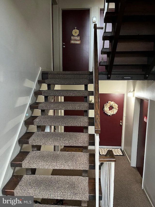 stairs featuring carpet flooring