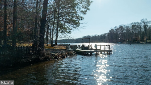 dock area with a water view