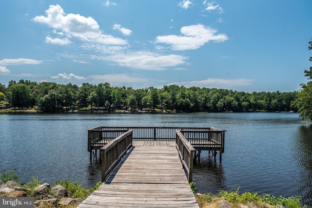 dock area with a water view