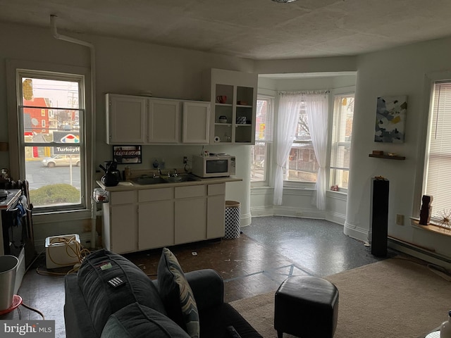 living room featuring sink and a wealth of natural light