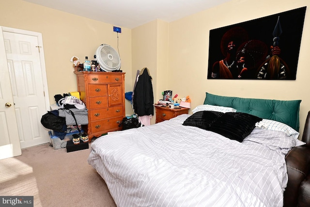 carpeted bedroom featuring a closet