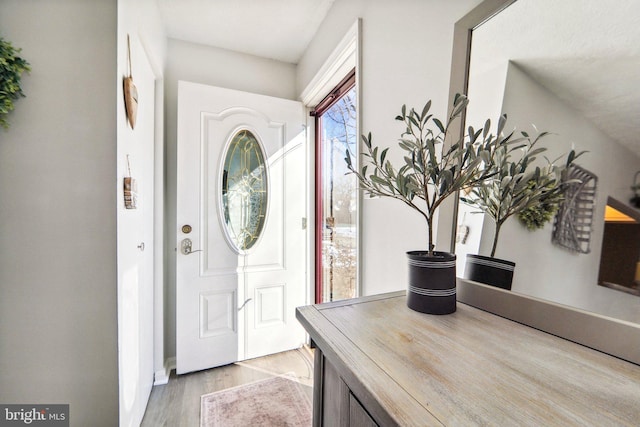 foyer featuring light hardwood / wood-style flooring