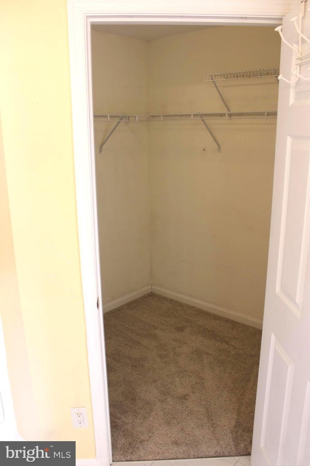 walk in closet featuring carpet floors