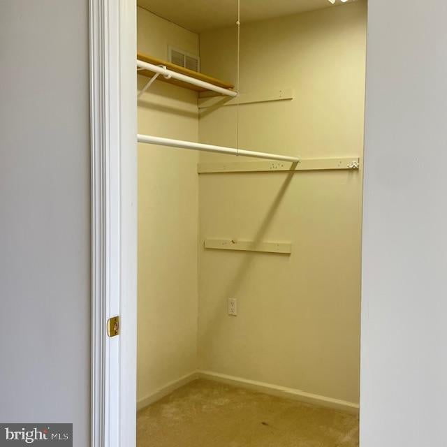 walk in closet with carpet floors