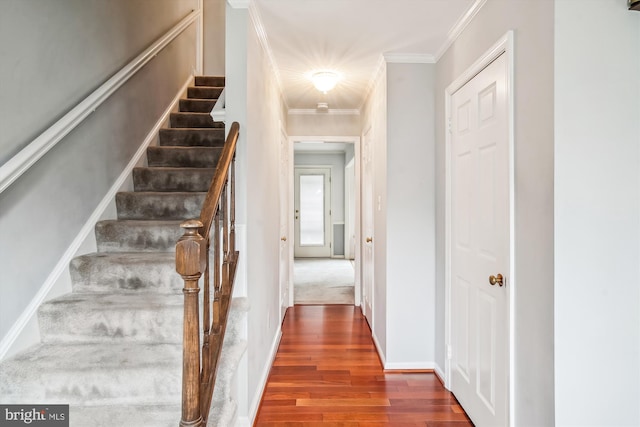 stairs featuring wood-type flooring and crown molding