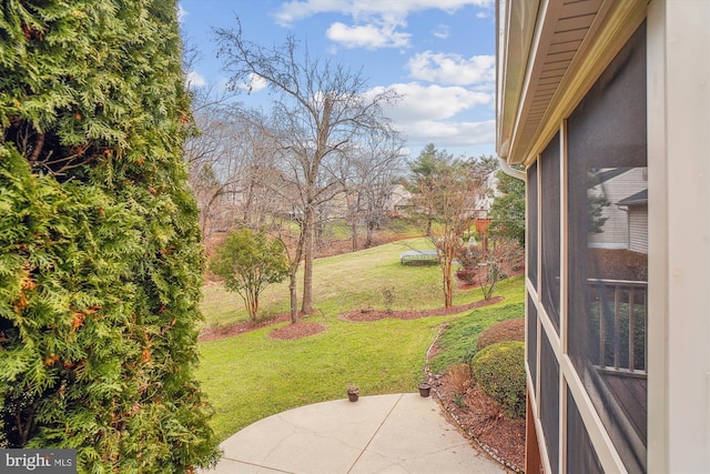 view of yard featuring a patio area