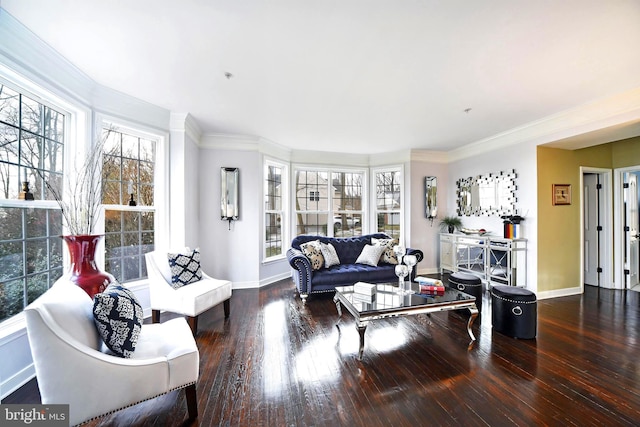 living room featuring dark wood-type flooring and ornamental molding