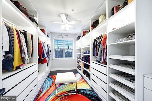 spacious closet featuring ceiling fan