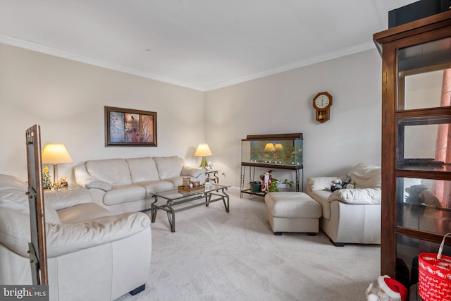 carpeted living room featuring ornamental molding