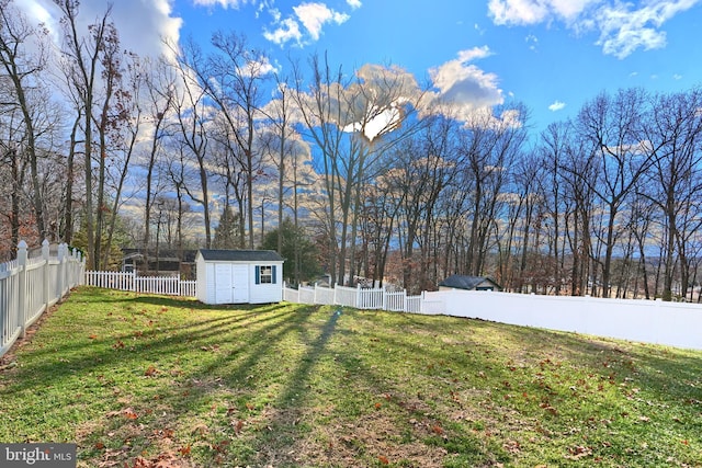 view of yard with a shed