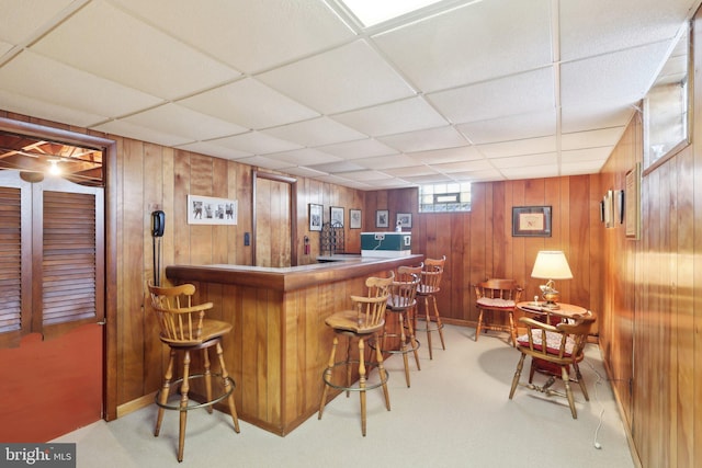 bar featuring a paneled ceiling and wooden walls