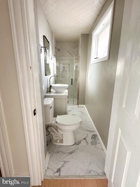 bathroom with vanity, an enclosed shower, and toilet