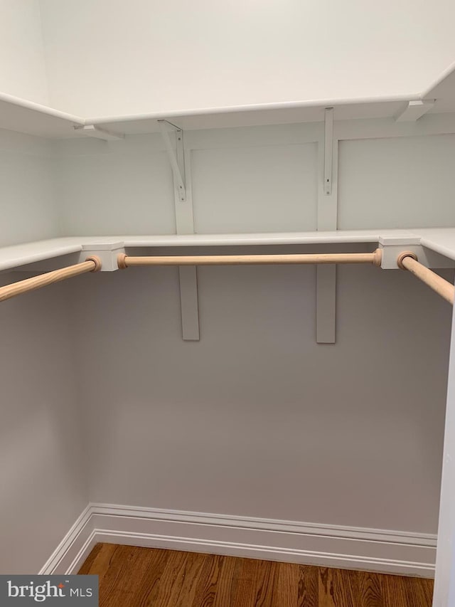 spacious closet featuring dark wood-type flooring