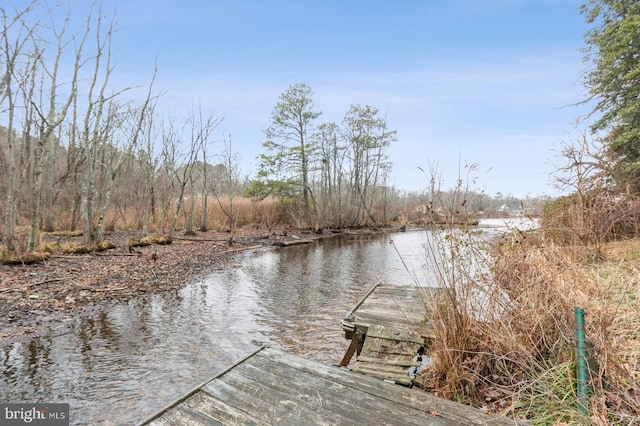 dock area featuring a water view