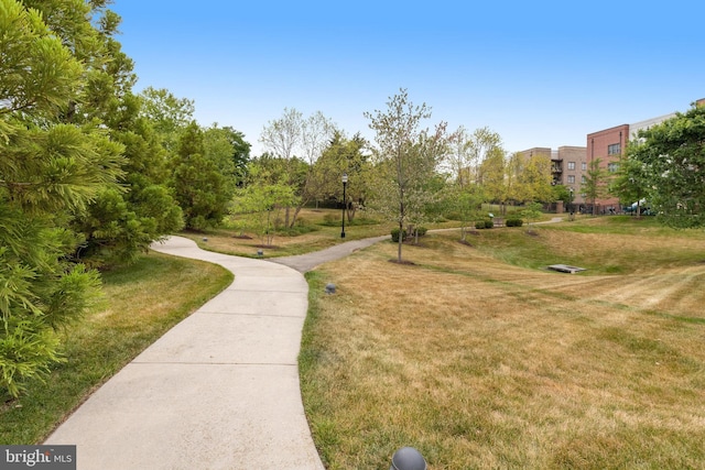 view of home's community with a lawn